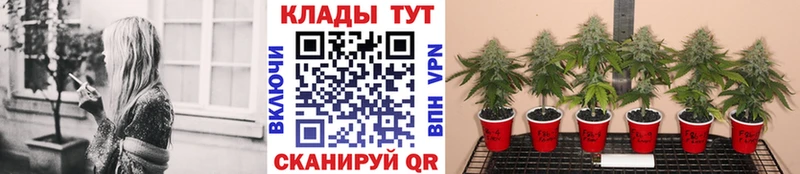 Купить Нижний Ломов MDMA Конопля КОКАИН Codein Амфетамин