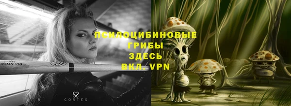 первитин Карпинск