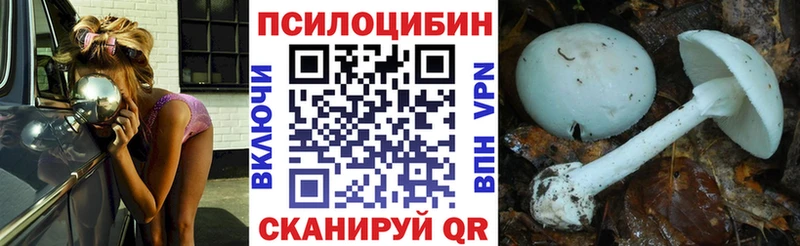 закладки  Нижний Ломов  Псилоцибиновые грибы мухоморы 